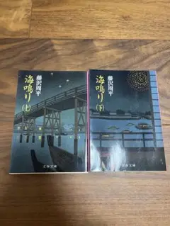 藤沢周平 海鳴り 上・下巻セット