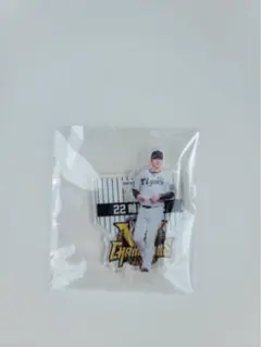 阪神タイガース2025JERA セ・リーグ優勝記念くじ22藤川球児アクスタ