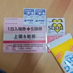 2026年最新】岩原スキー場の人気アイテム - メルカリ