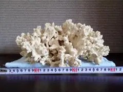 天然石 水晶 ドゥルージークォーツ クラスター 特大888g 台座付き