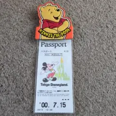 東京ディズニーランド　チケットホルダー　プーさん