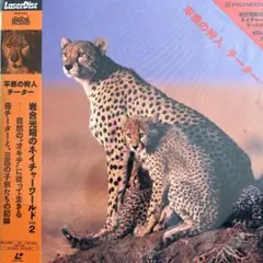 平原の狩人 チーター Vol.2 LaserDisc