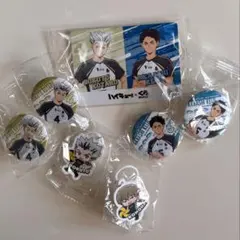 くら寿司 ハイキュー!! 梟谷学園セット 木兎 赤葦 木葉 めじるし 缶バッジ