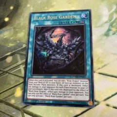 Item thumbnail for item e448114a-da5f-4519-b488-7493bb93afb0