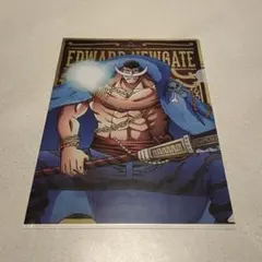 白ひげ　クリアファイル