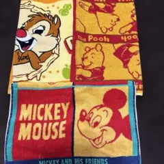 ディズニーキャラクターフェイスタオル3枚セット
