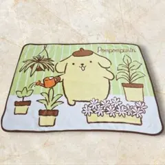 一番くじ 当たりくじ ポムポムプリン タオルケット 毛布 Sanrio