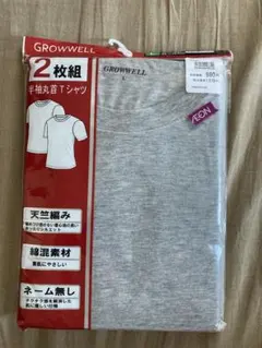GROWWELL 丸首半袖Tシャツ 2枚組 Lサイズ