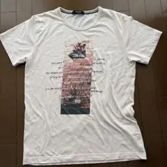 PLUS ONEライトオン メンズ プリントTシャツ 薄いピンク色 Lサイズのサムネイル