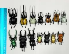 14体セット 立体昆虫図鑑 フィギュア カブトムシ クワガタ