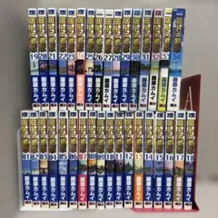 ロトの紋章 紋章を継ぐ者達へ 1-34巻 全巻セット 藤原カムイ - メルカリ