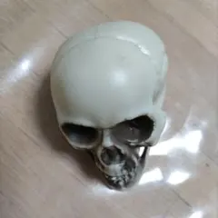 Item thumbnail for item a5cfc247-9947-43db-a4f8-fe74a136b491