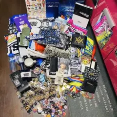 沢田研二　ジュリー　ザ・タイガース　バッジ　バッヂ　カードケース　昭和レトロ 沢田研二 ジュリー ザ・タイガース バッジ バッヂ カードケース 昭和