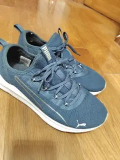 Item thumbnail for item b71260c5-2a72-4981-bd68-c9d6854bca15