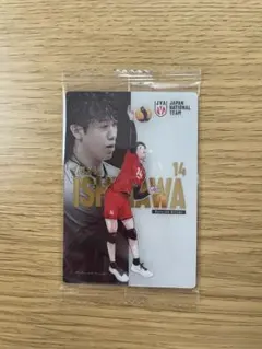 バレーボール男子日本代表 ツインウエハース 石川祐希