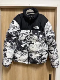 THE NORTH FACE ダウンジャケットのサムネイル