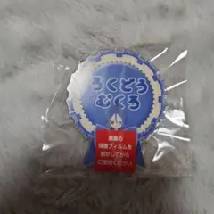 六道骸 名前バッチ