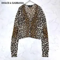 D&G ドルチェ&ガッバーナ レオパード柄 カーディガン 40 シアー ラメ