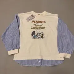 Item thumbnail for item d0370716-0f4f-4ab5-901a-71f650175c5b