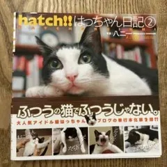 Hatch!! : はっちゃん日記 2