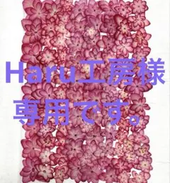 押し花素材、Haru工房様専用です。赤花処理した紫陽花ひな祭りルナと万華鏡。