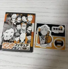 【ハイキュー!!】アクリルフィギュアコレクション　菅原孝支