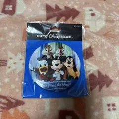 ★新品未使用タグ付き★イマジニングザマジックキーホルダー　缶バッジ　10セット 第1弾！東京ディズニーリゾート・フォトグラフィープロジェクト