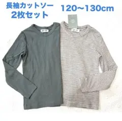 未使用h&mオーガニックコットン使用長袖カットソー2枚セット120〜130cm