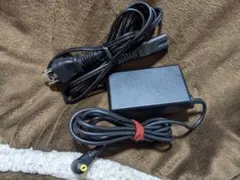 希少無地　SONY　プレイステーションポータブル　充電器　PSP-100