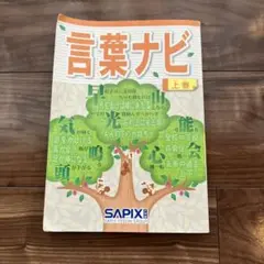 書き込みほぼなし　 言葉ナビ 上巻 SAPIX