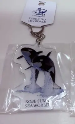 Item thumbnail for item df365c52-a5ab-4bf0-a7ac-da9e2757578a