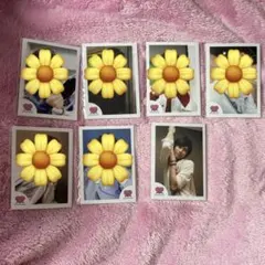 SnowMan 阿部亮平　ミニフォト