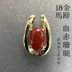 K18 血赤珊瑚 デザインペンダント0.93ct - メルカリ