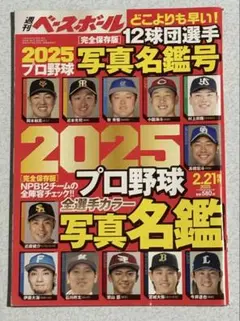 Item thumbnail for item a28589cc-aa99-4052-b4cc-579975320749