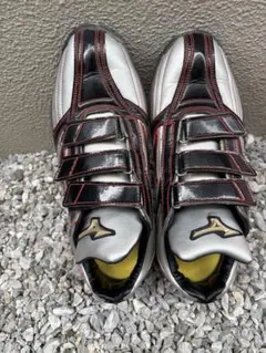 Mizuno トレーニングシューズ シルバー/ブラック/レッド