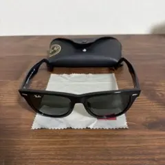 Ray-Ban WAYFARER サングラス