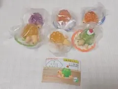レトロカメゼリー　6個セット