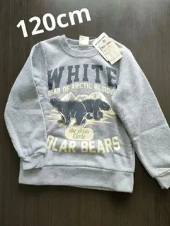 裏起毛 トレーナー 120