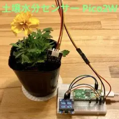 【新品】Raspberry Pi Pico2W 土壌水分センサー 電子工作