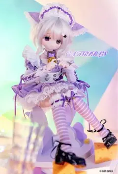 ドルフィードリーム
