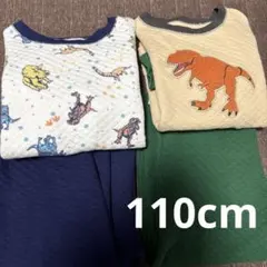 Item thumbnail for item 03e270a7-62aa-4f9d-ae7a-37c342efd8d2