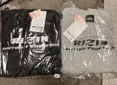 Item thumbnail for item f687204d-2be7-4ca6-8be1-91b71ba02a1f