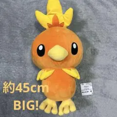 最終お値下げ【約45cm】ポケモン　BIG めちゃもふぐっとぬいぐるみ　アチャモ