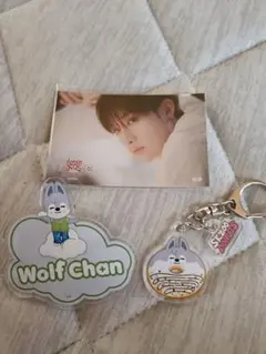 Stray Kids SKZOO Wolf Chan キーホルダーのサムネイル