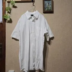 【Botany 500 NEW YORK】半袖シャツ ボタンダウン フリーサイズ