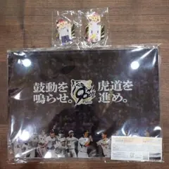 阪神タイガースアクスタくじ　フィニッシュ賞おまけ付き