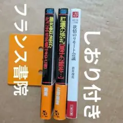 フランス書院文庫　蒼井凛花　艶満　北野剛雲　しおり