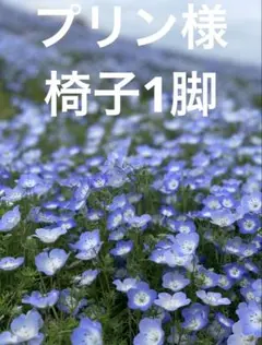 カンディハウス　ダイニングチェア