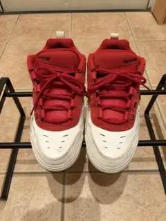 NIKEsb ishod2