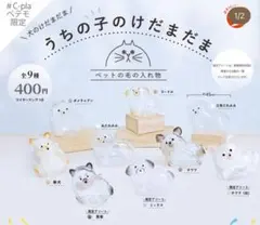 うちの子のけだまだま C-plaペテモ限定 ポメラニアン2匹セット